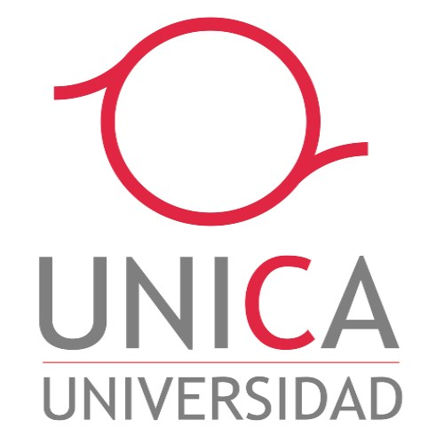 Universidad UNICA